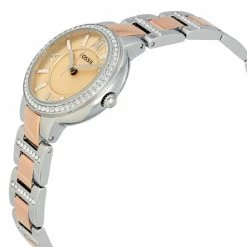 Montre FOSSIL Virginia ES3405 -Montres De Mode ES3405 2