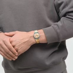 Montre Swatch Art Journey Nascita Di Venere By Sandro Botticelli -Montres De Mode GZ360 5 SW