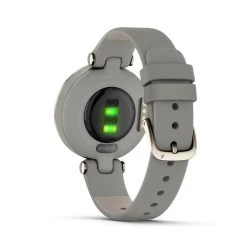 Montre Connectée Garmin 010-02384-B2 9 Montre Connectée Garmin 010-02384-B2 -Montres De Mode montre connecte femme garmin lily 010 02384 b2 bracelet cuir gris 3498812 5 1140x1140