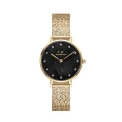 Montre Femme Petite DW00100595 - Bracelet Acier Doré
